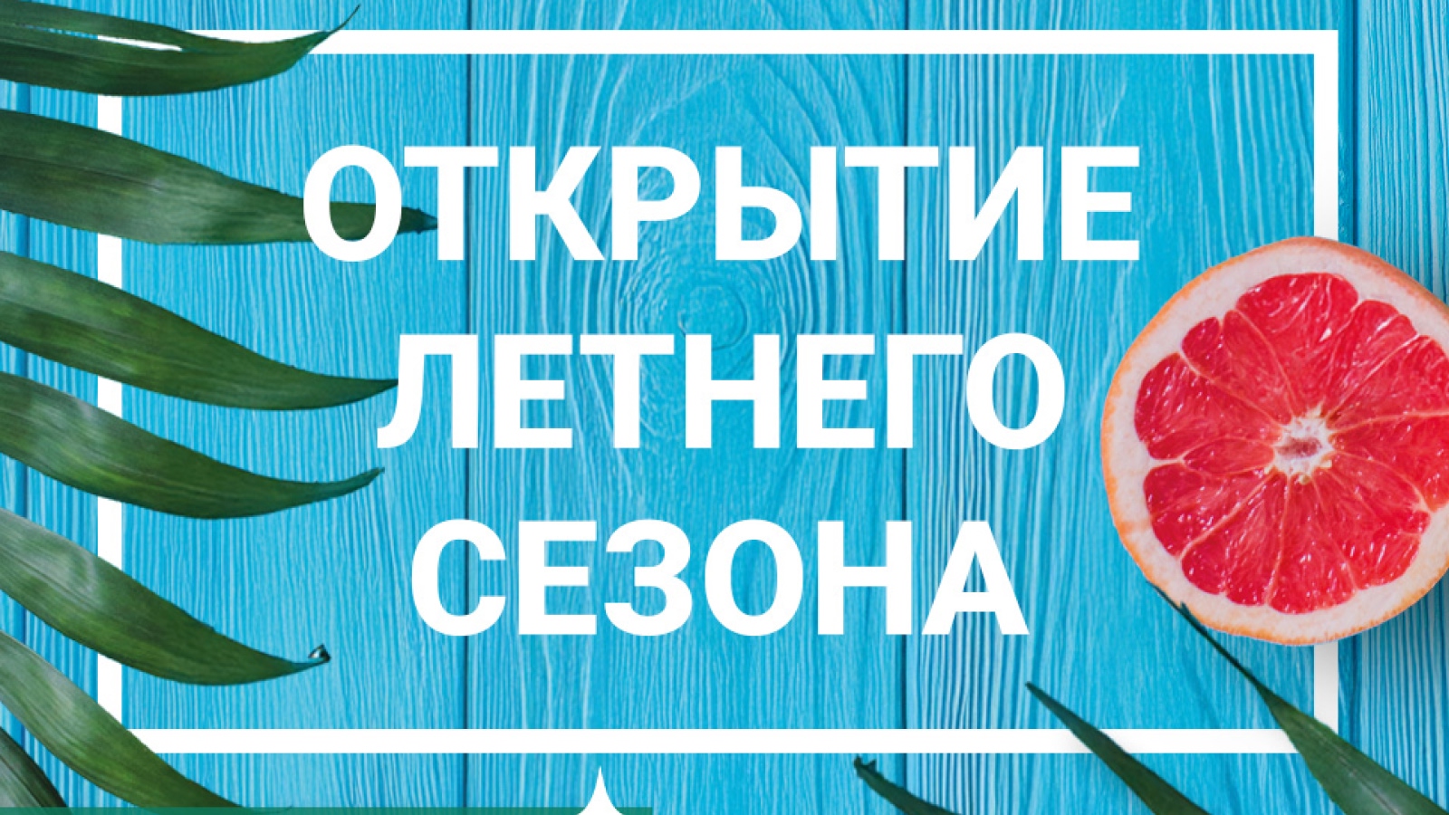 ОТКРЫТИЕ ЛЕТНЕГО СЕЗОНА VITASPORT